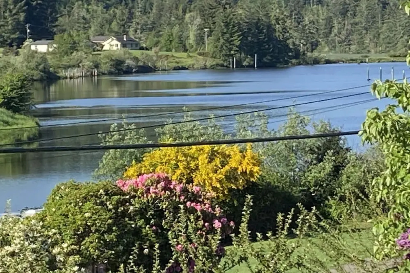 Riverview - Mins To Beach, Dunes, Lakes 3 Bedroom Home