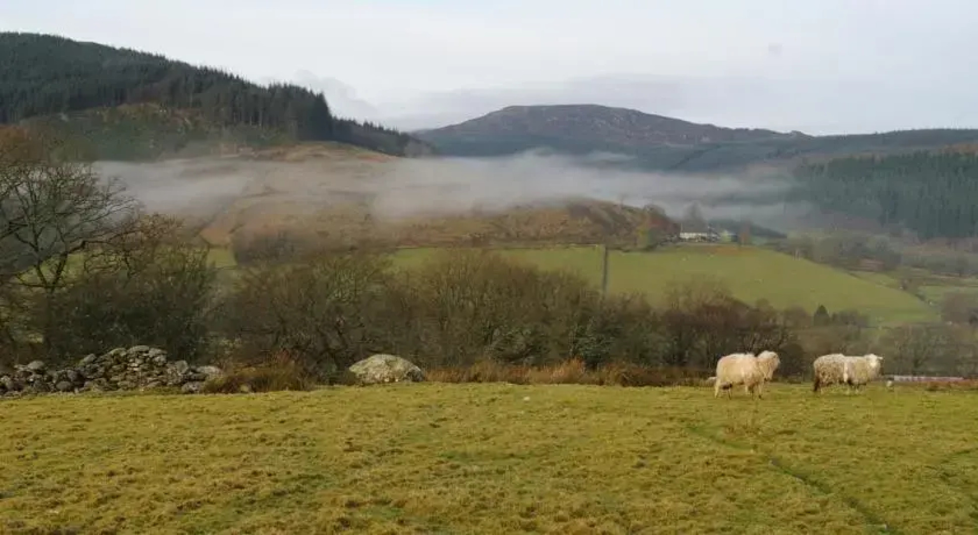 Ty Blaidd Bed and Breakfast