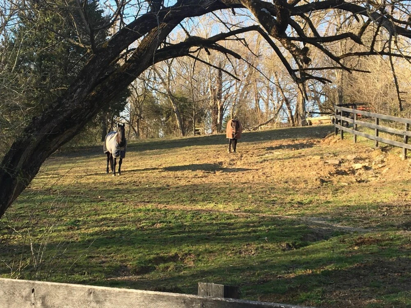 The Inn at Spring Run Farm