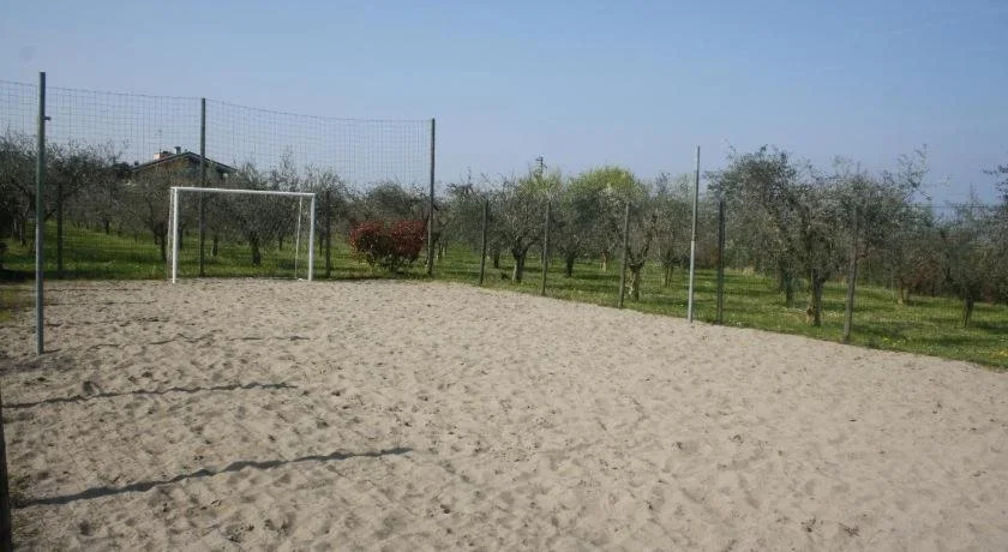 Agriturismo Il Giardino Degli Ulivi