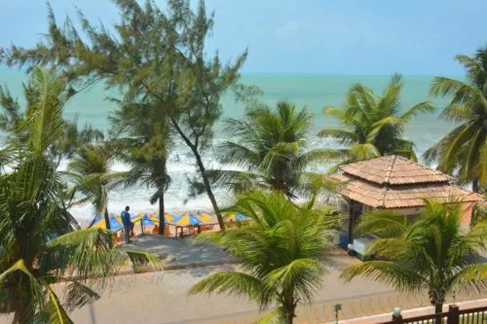 Araça - Apartamentos 305 e 408