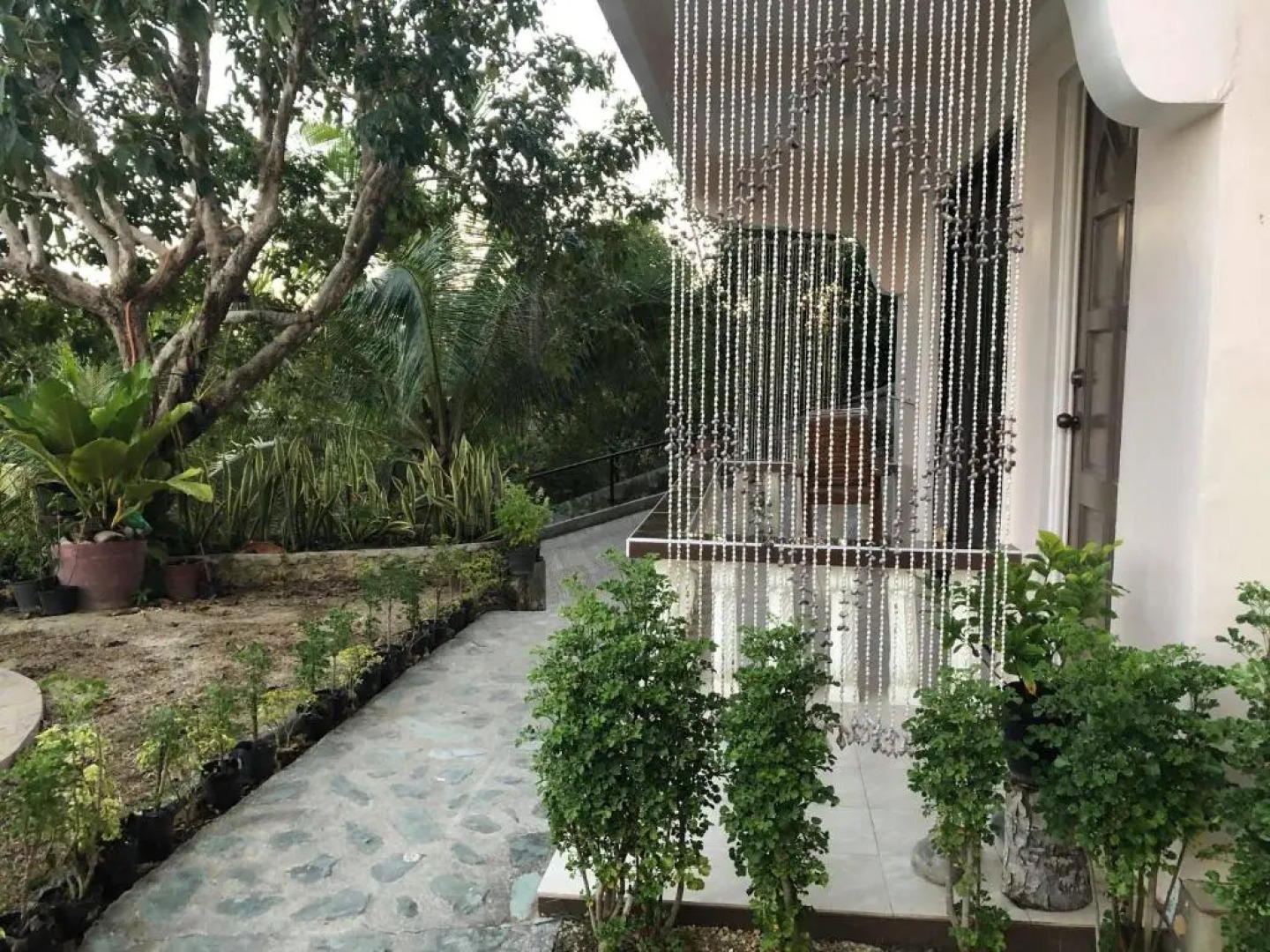 Vidas Mountain Stay-Bohol