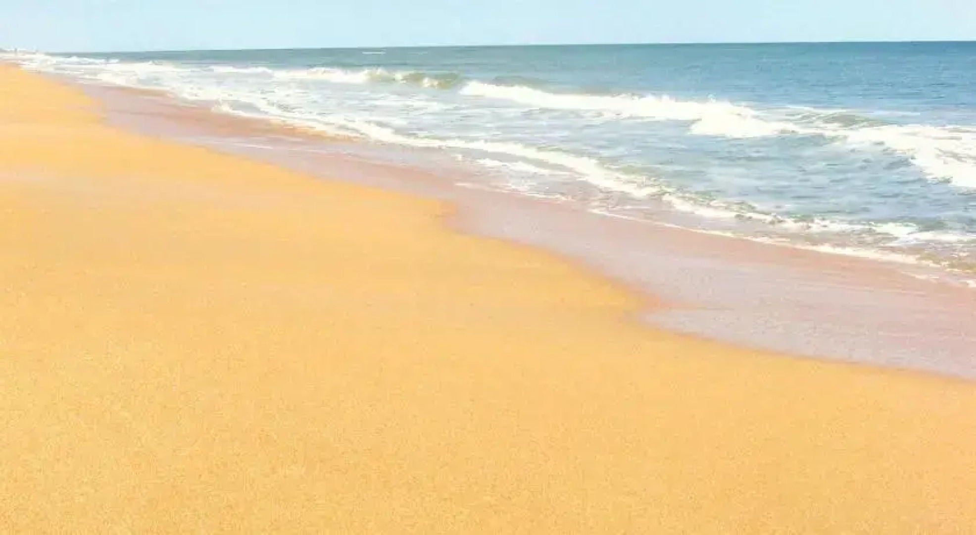 Miracle Eight by Vacation Rental Pros