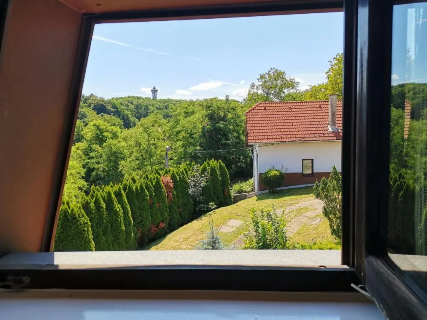 Apartma med vinogradi