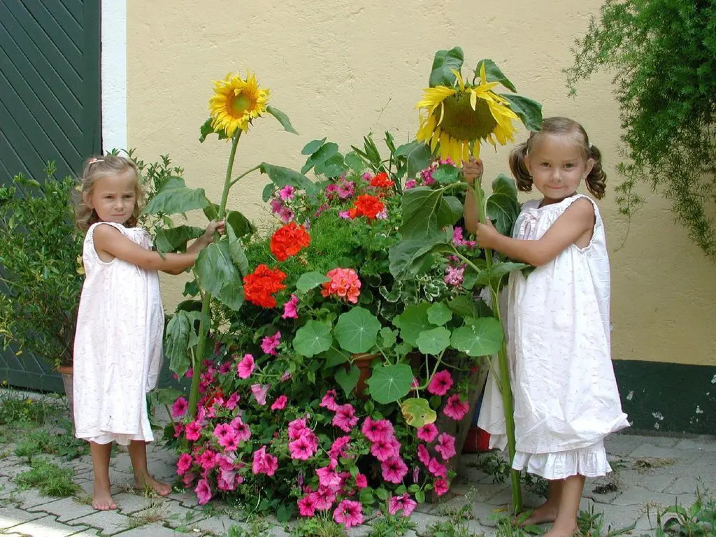 Ferienwohnungen Wrolich