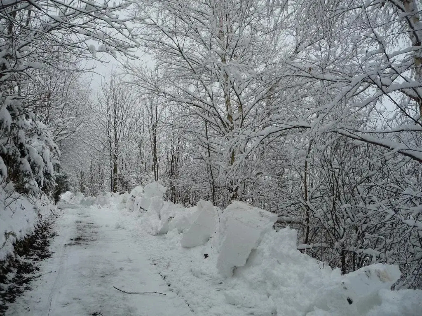 Gästepension Edeltraud