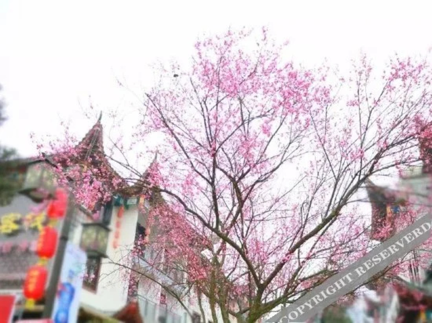 Enshi Daughter City Shemi Su Ya Hotel