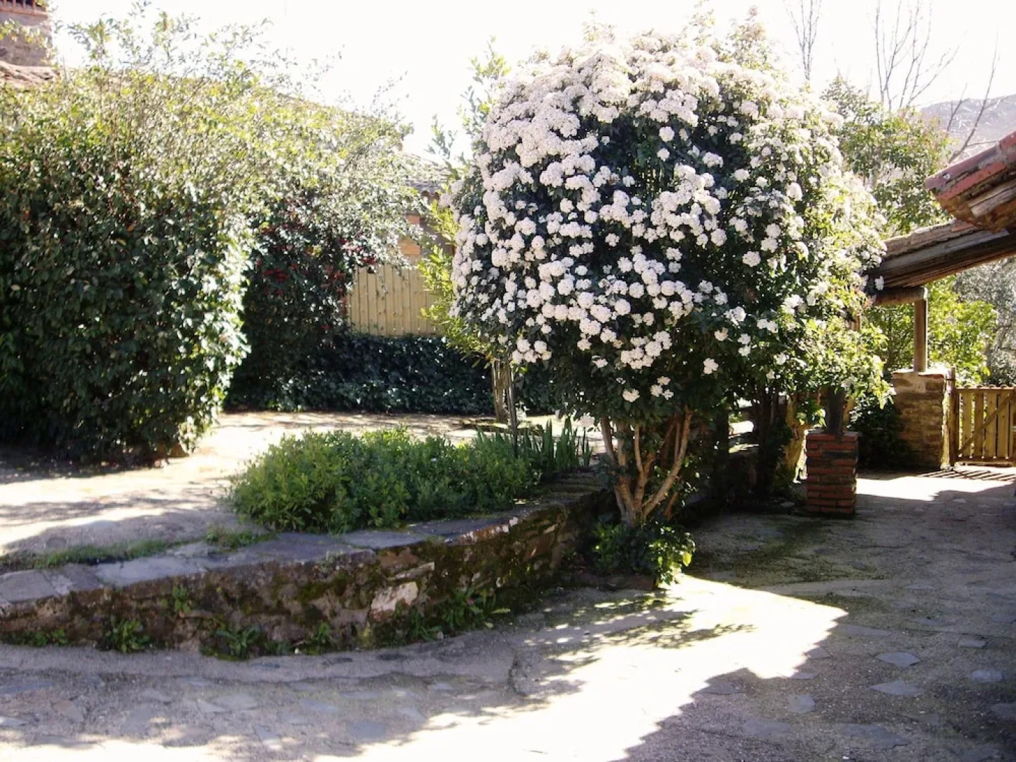 Rural Farmhouse in Valencia de Alcántara With Pool