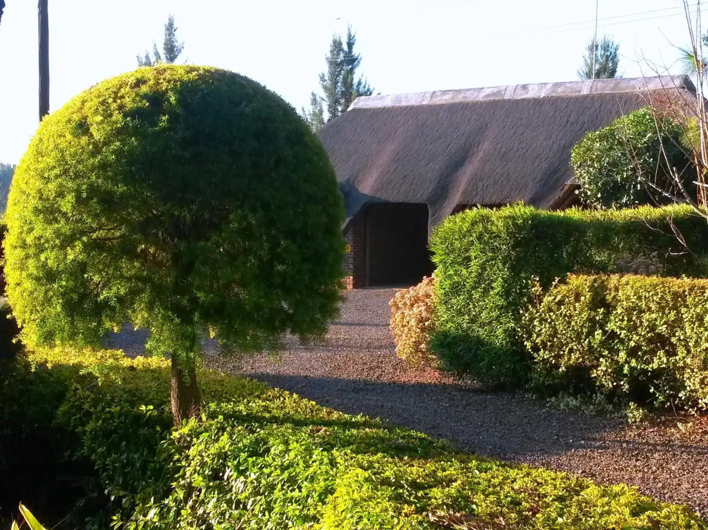 African Flair Country Lodge