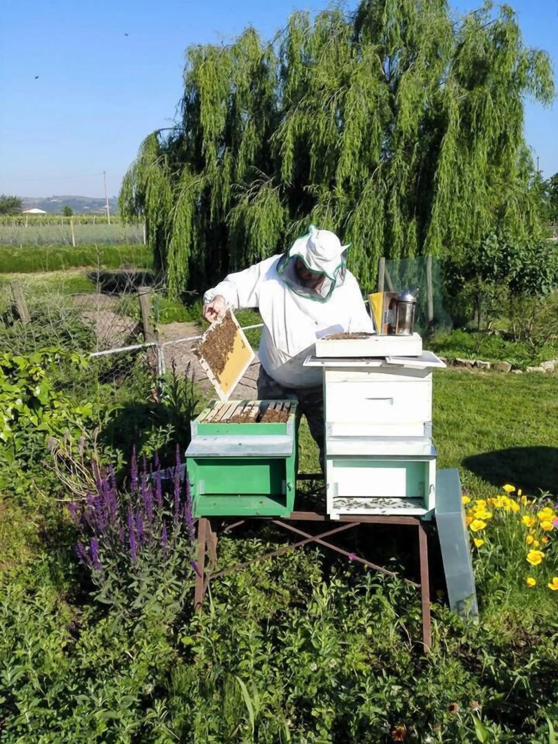 Agriturismo La Borina
