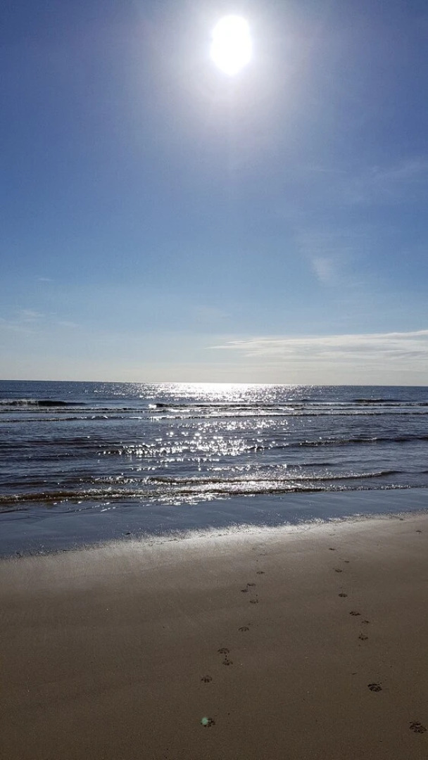 Saltfleet Manor House