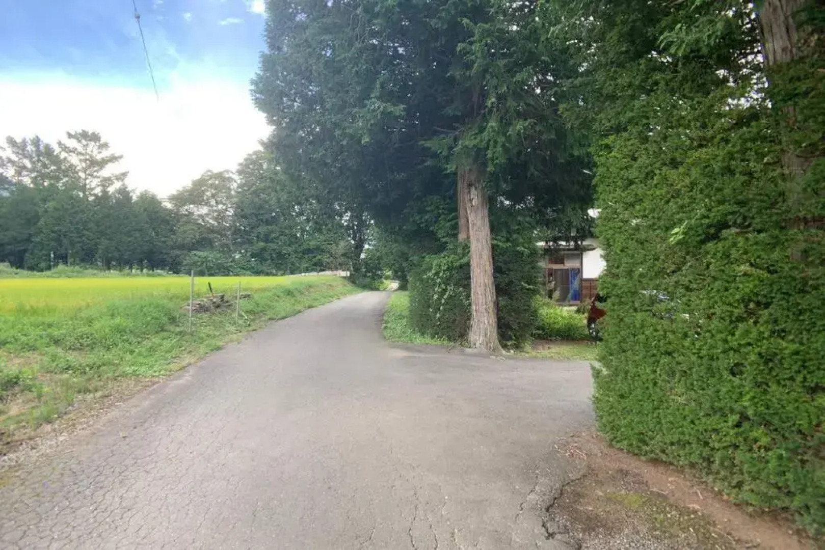 伊那谷別邸でシェアハウス-share old folk house-