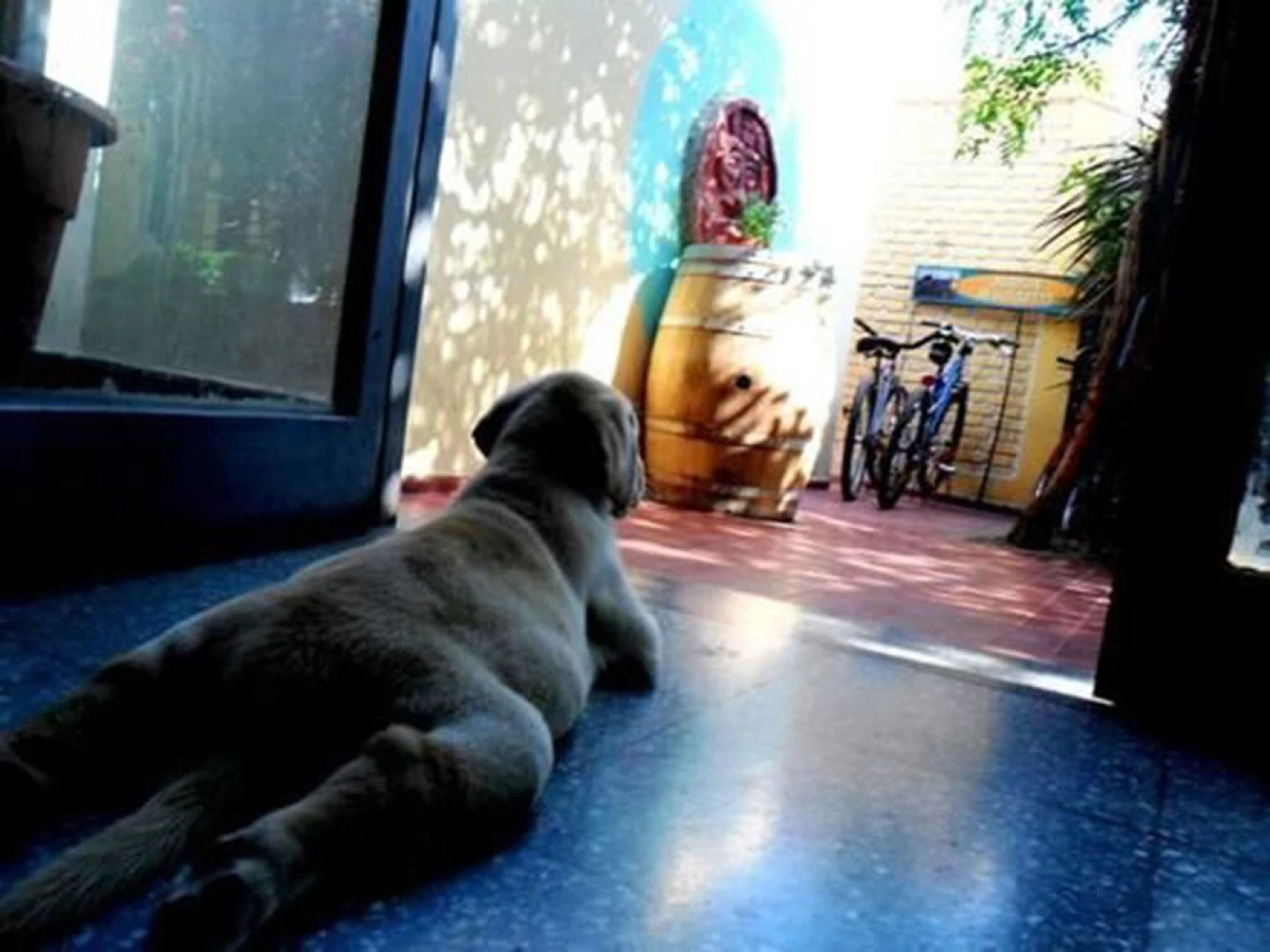 Sosahaus Hostel Mendoza