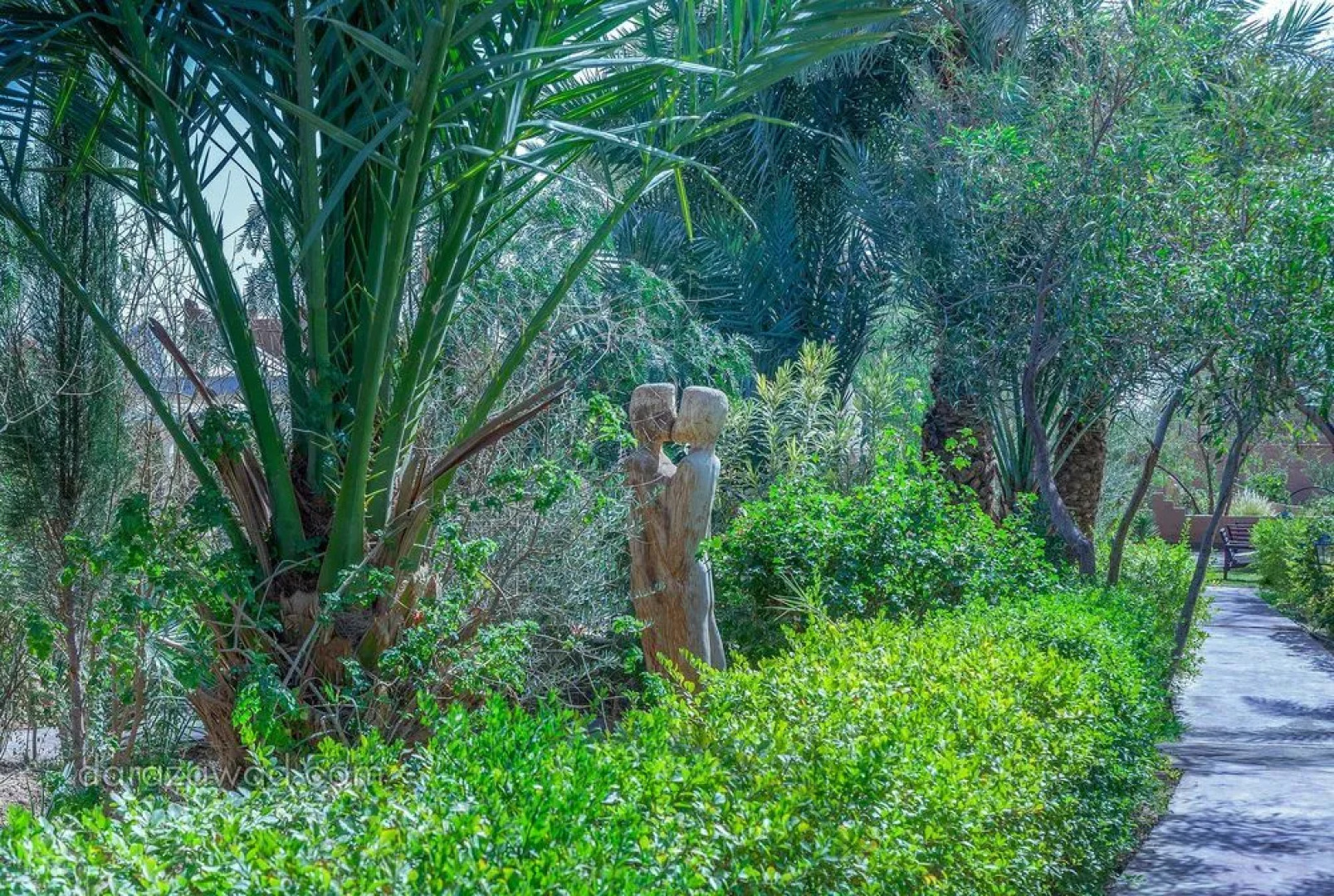 Bivouac Rêve Sahara-Dar Azawad