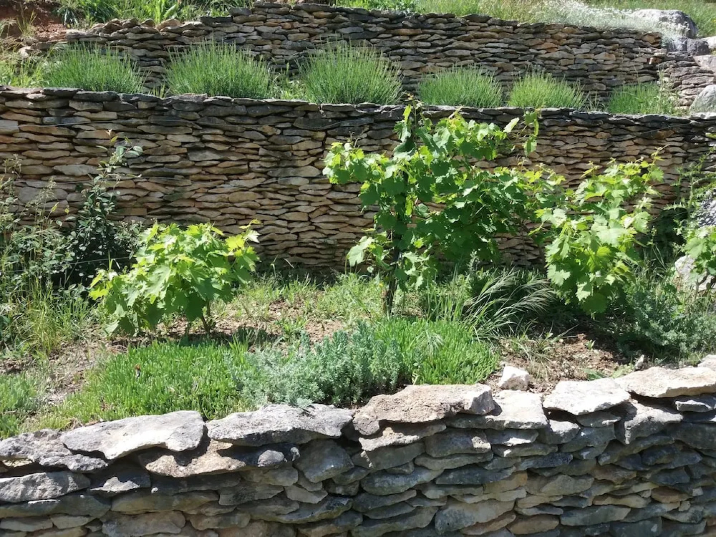 B&B La Medievale du Luberon