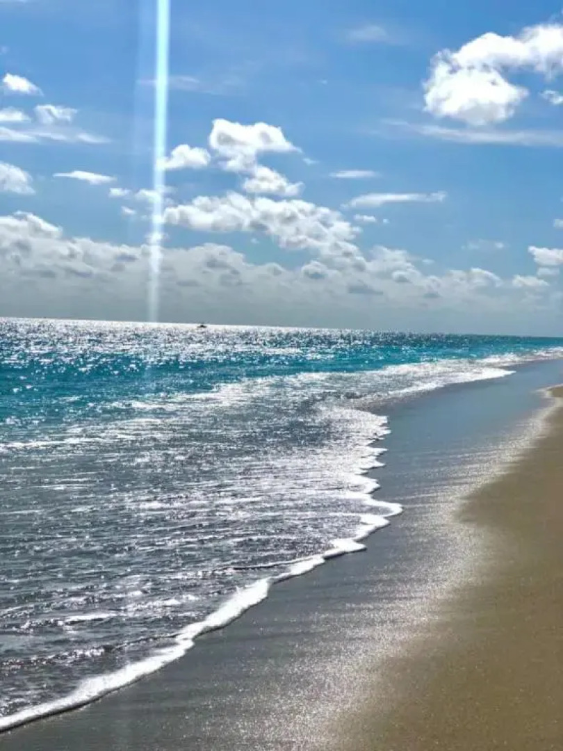 Tropical Beach Condo - Pool, Parking, 86" TV, WiFi