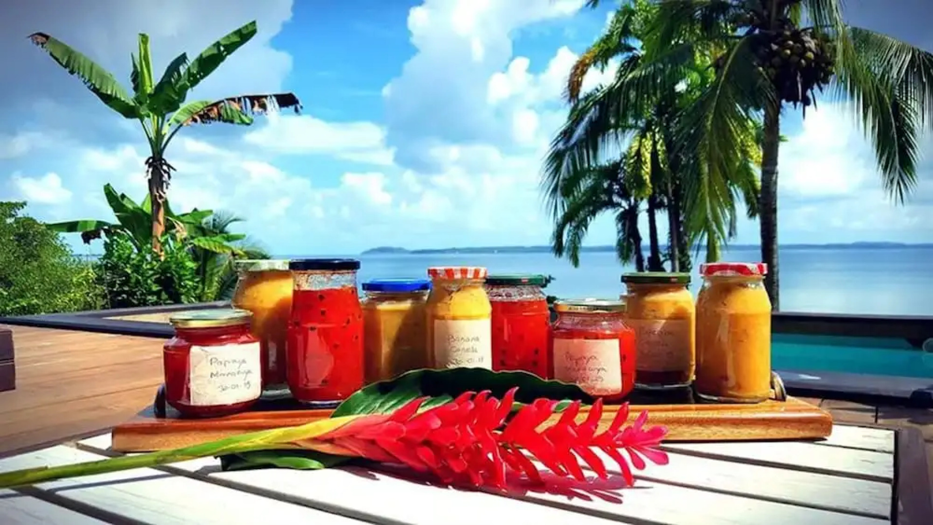 El Caribeo - Nature Lodge