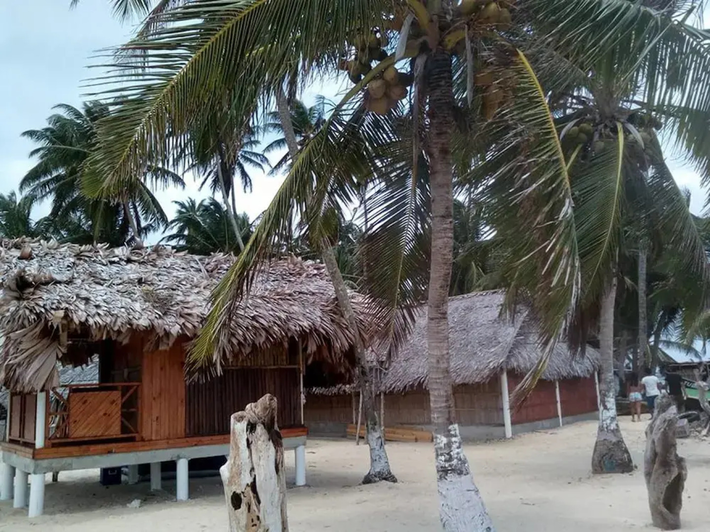 Isla Franklin Cabaña Tubasenika