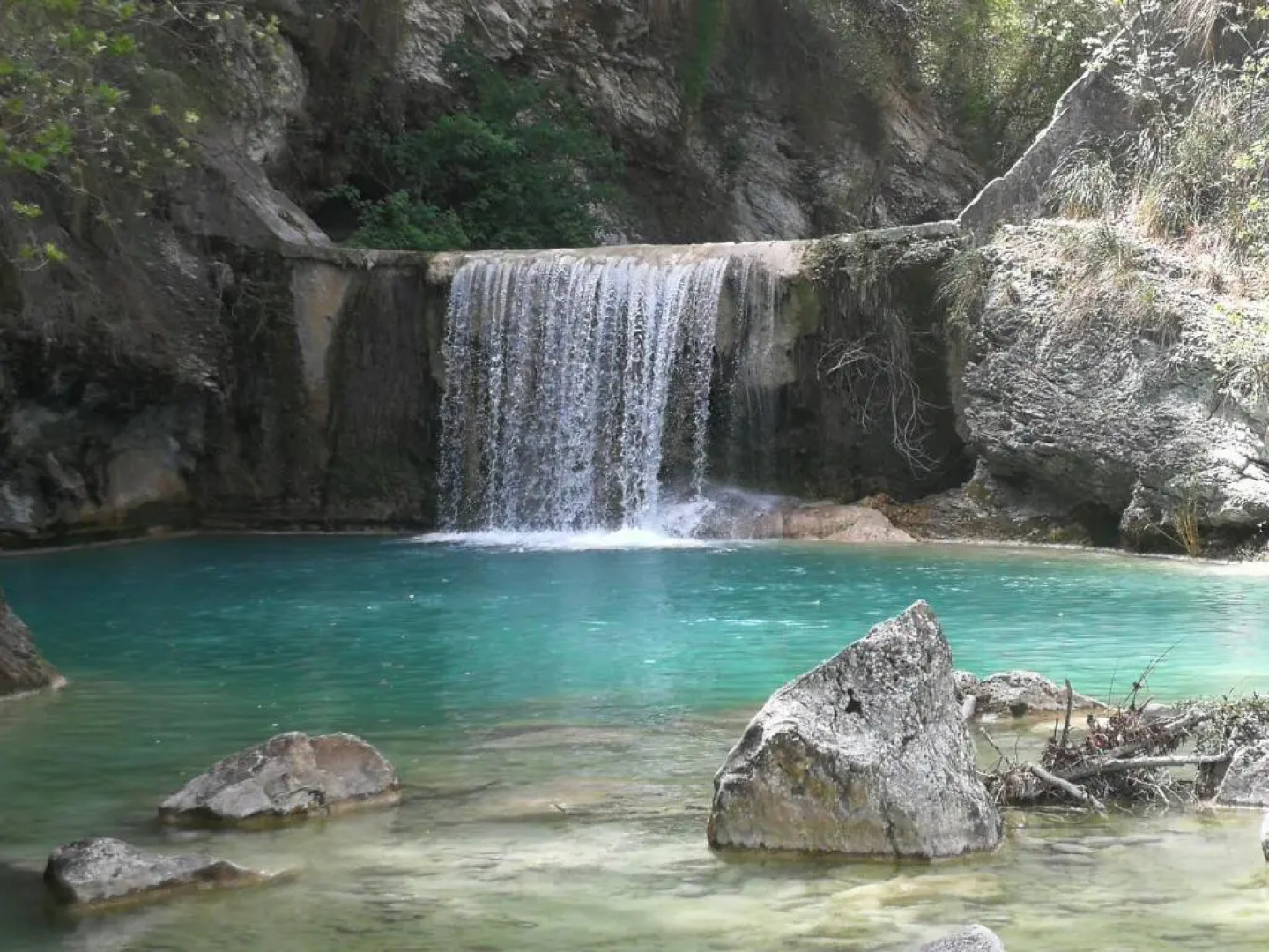 Bed & Breakfast Mosca Bianca