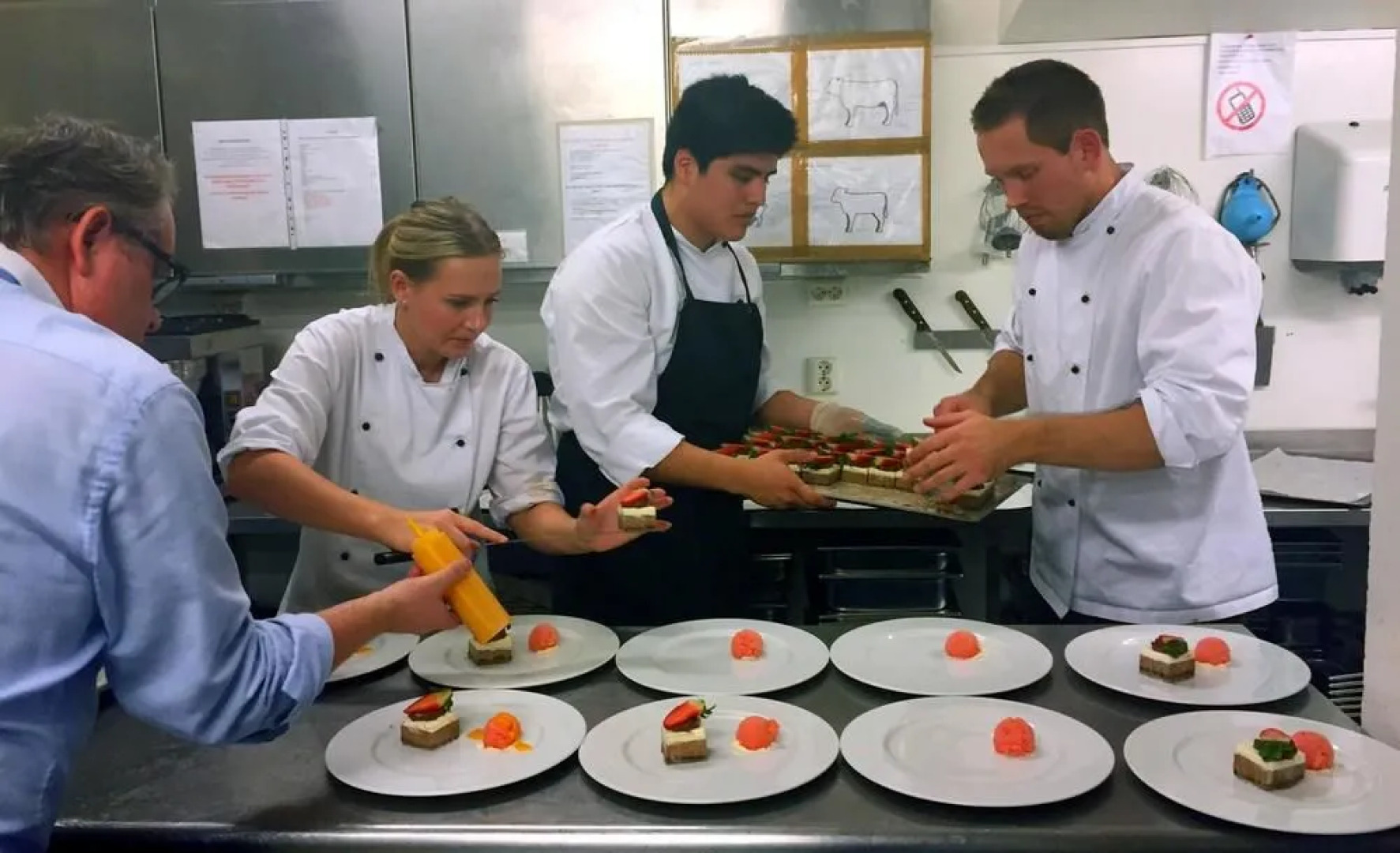 Bjørnefjorden Gjestetun