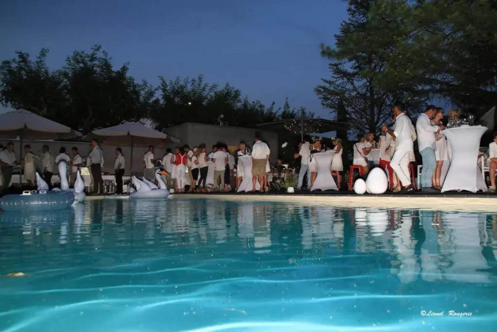 Safari Hôtel - Restaurant l'Hibiscus