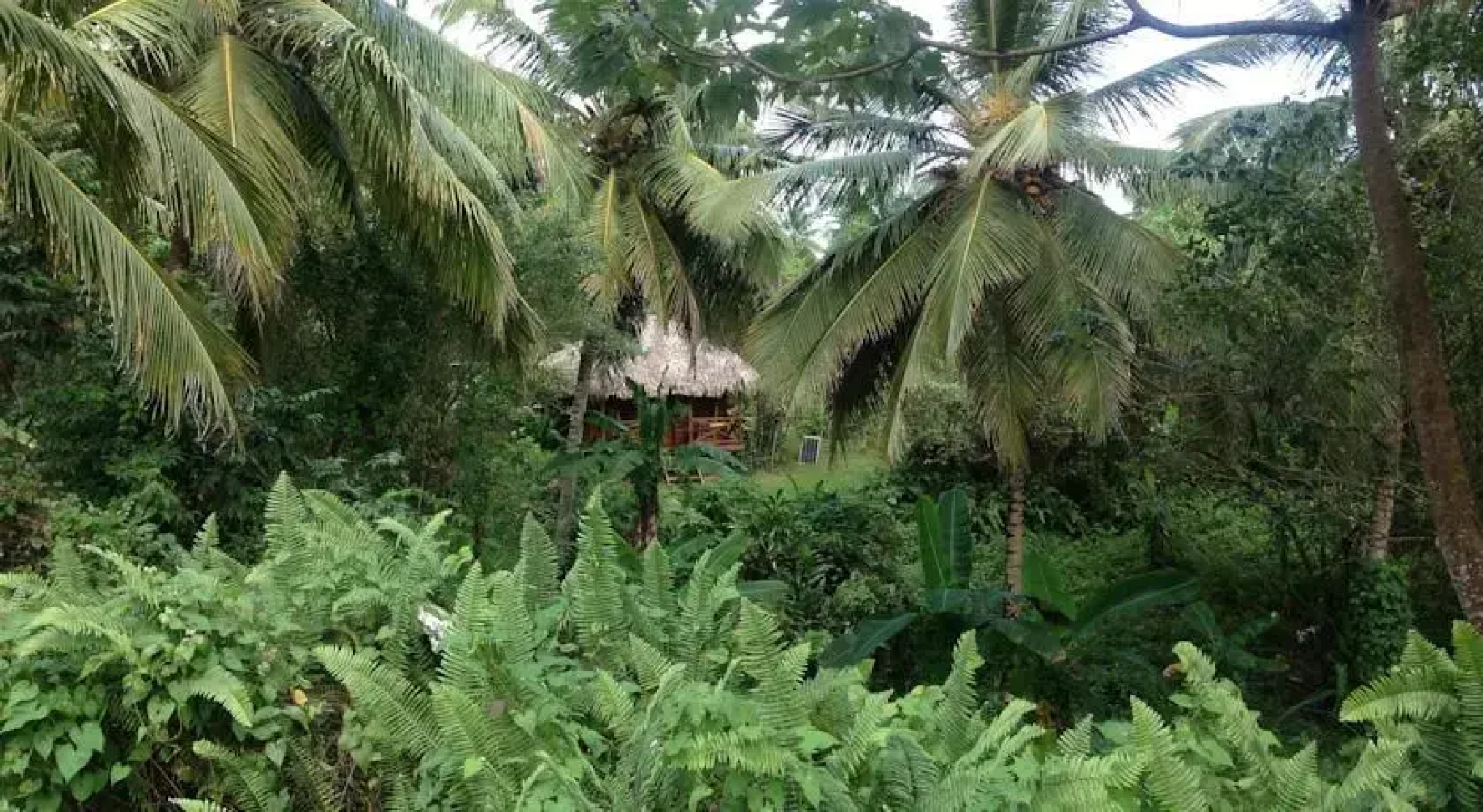 Ecocampo La Sangria