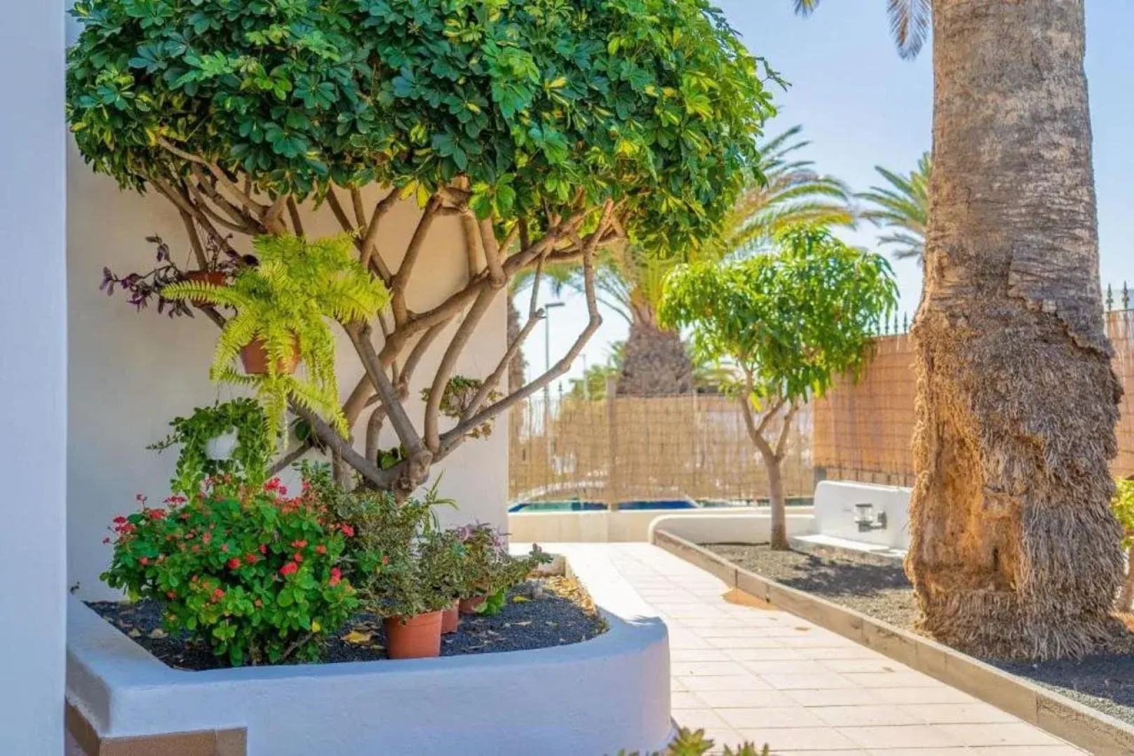 Apartamentos Isla de Lobos