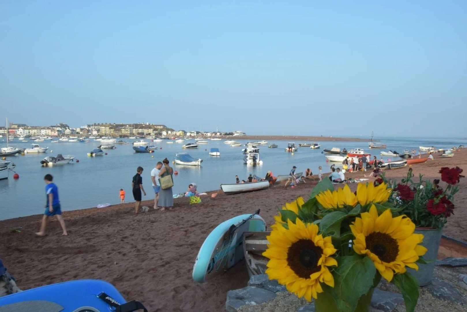 Teign Head Garden Apartment