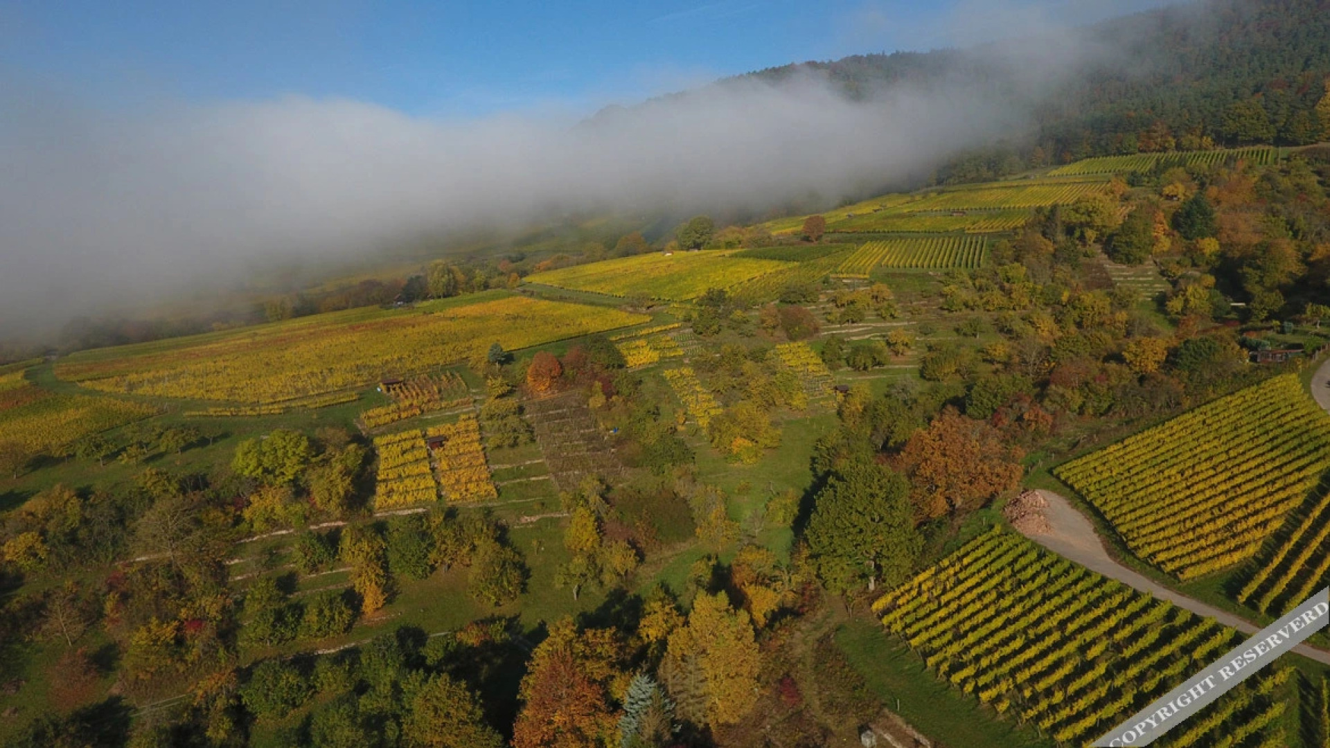 Hotel Weinhaus Stern