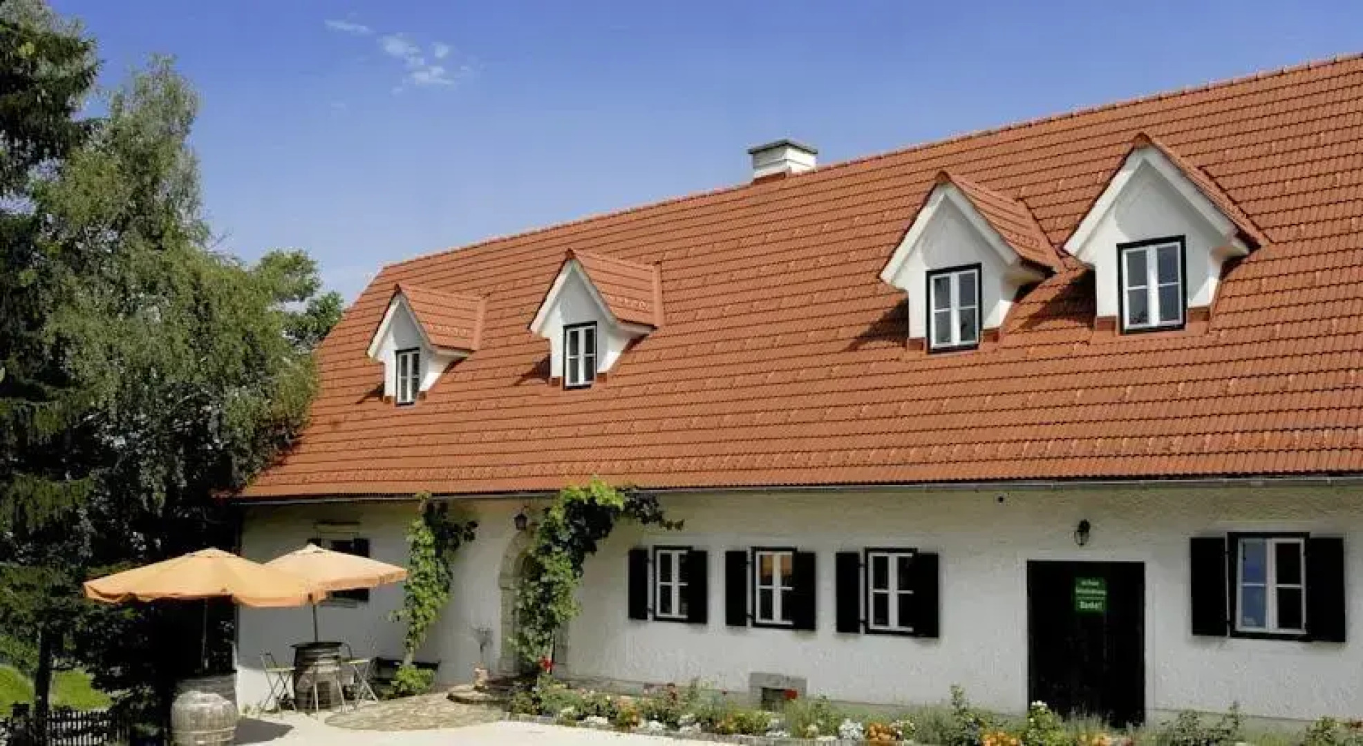 Kultur Weingut Kästenburg