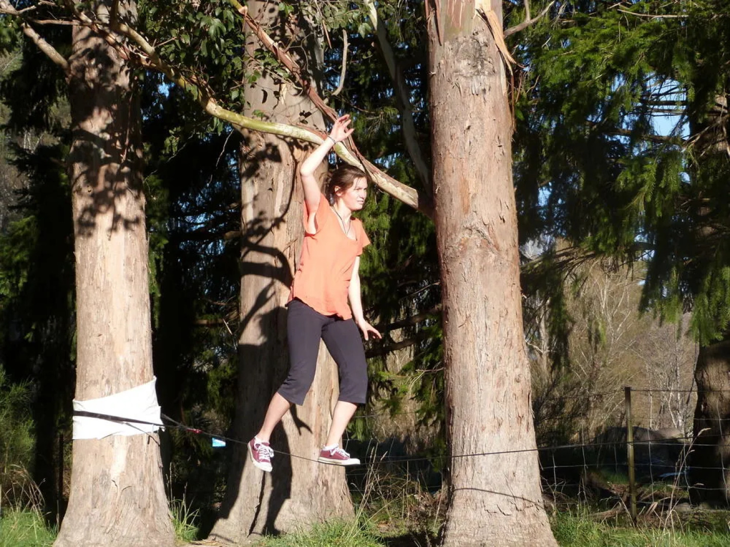 Alpine Holiday Apartments & Campground