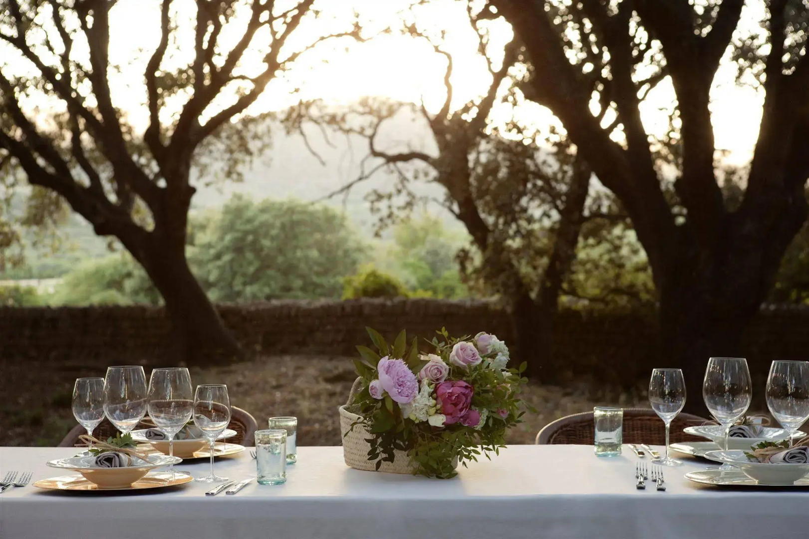 Predi Hotel Son Jaumell