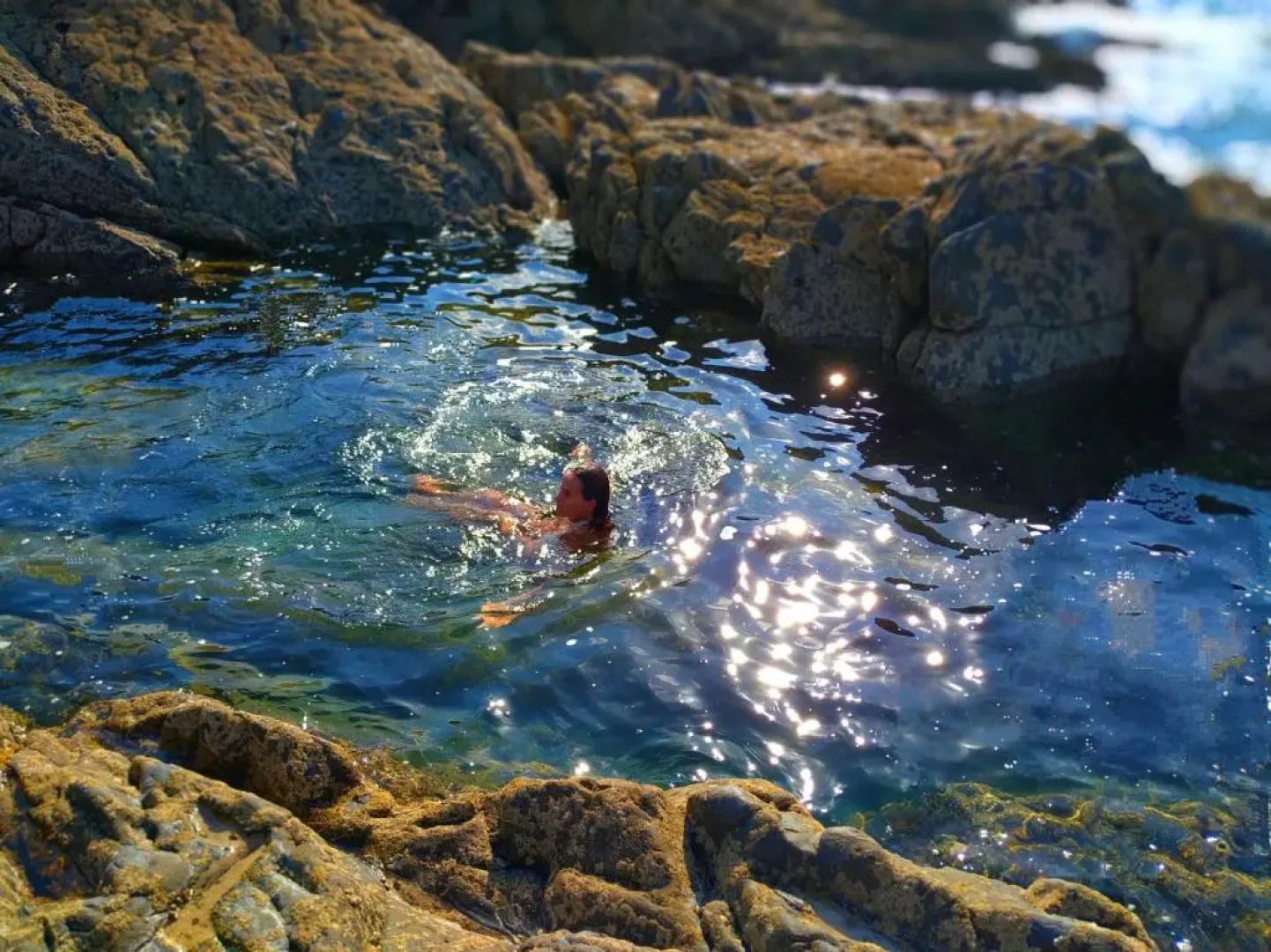 KosmeEtxea y Artza en el Parque Lamera EBI727