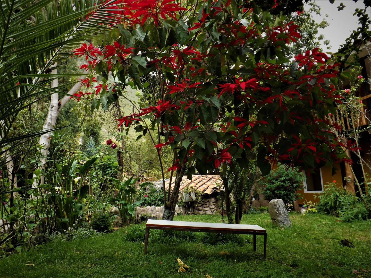 Caminantes del Valle of Sacred