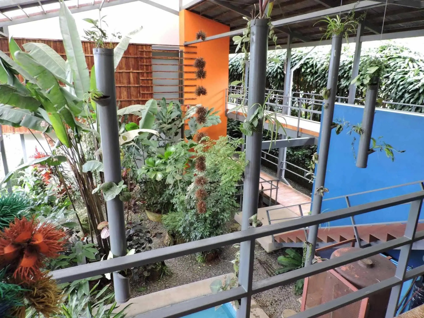 Celeste Mountain Lodge