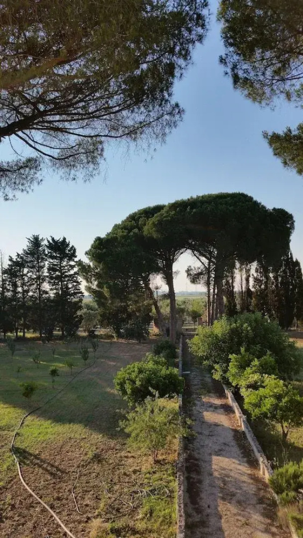 Agriturismo Occhineri