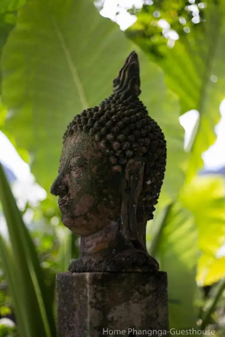 Home Phang-Nga Guesthouse