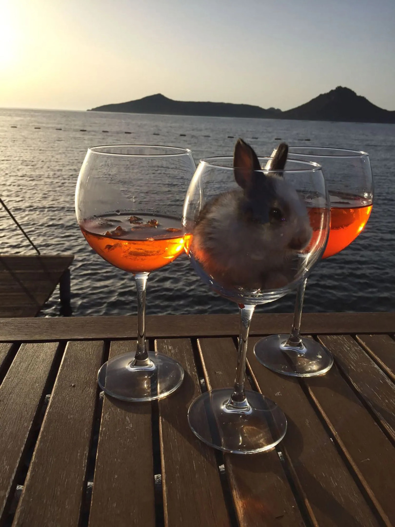 Art Suites Hotel Bodrum