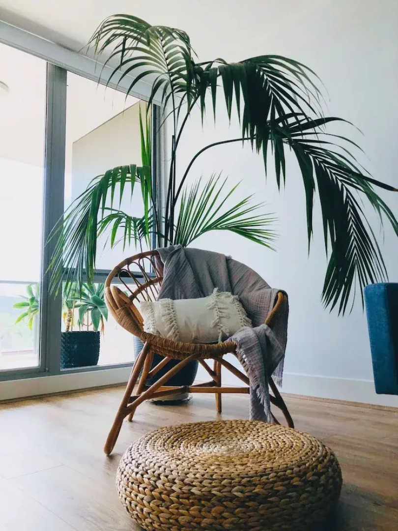 Accommodate Canberra - The Avenue