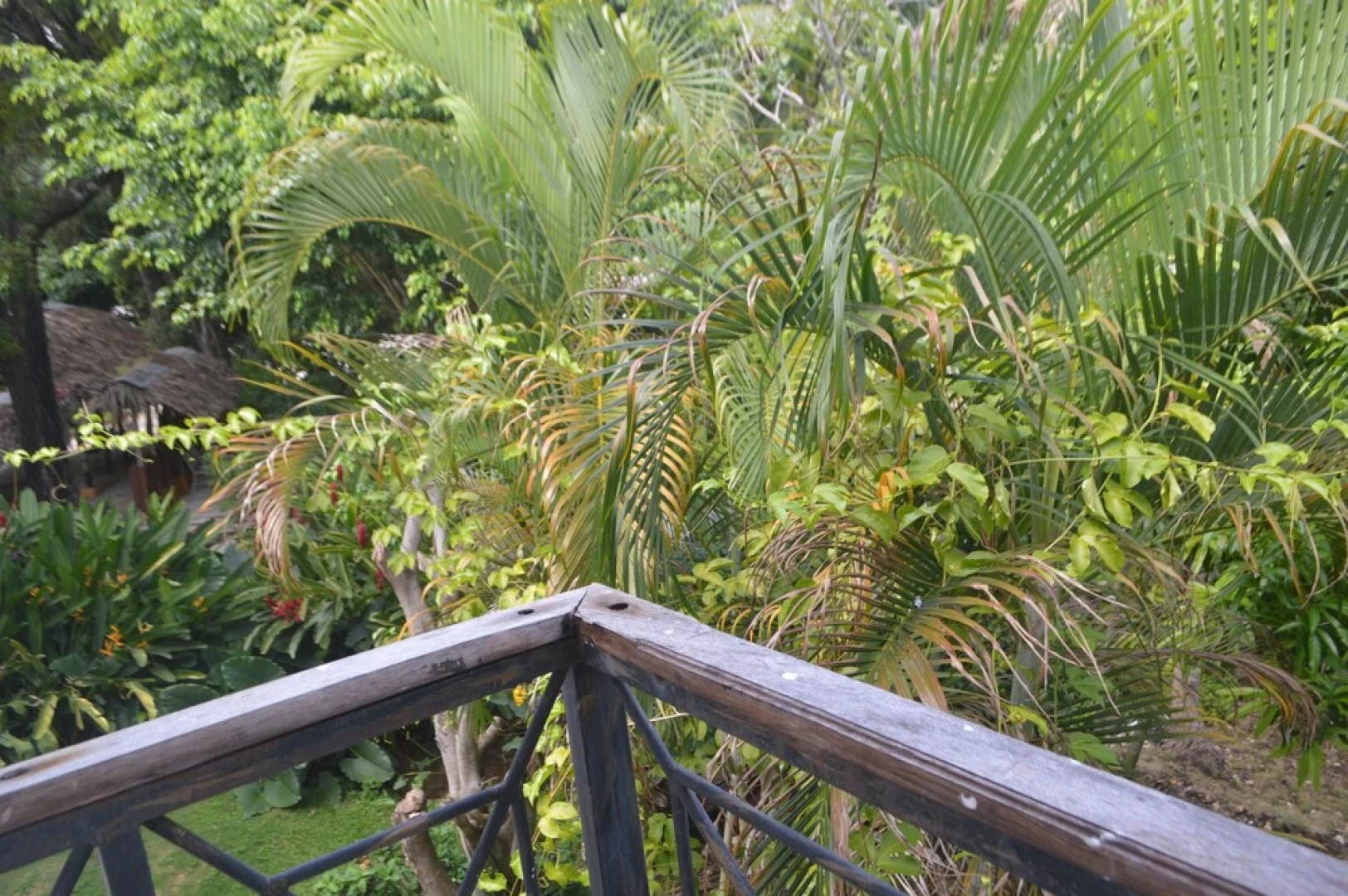 Hotel Rancho Don Cesar