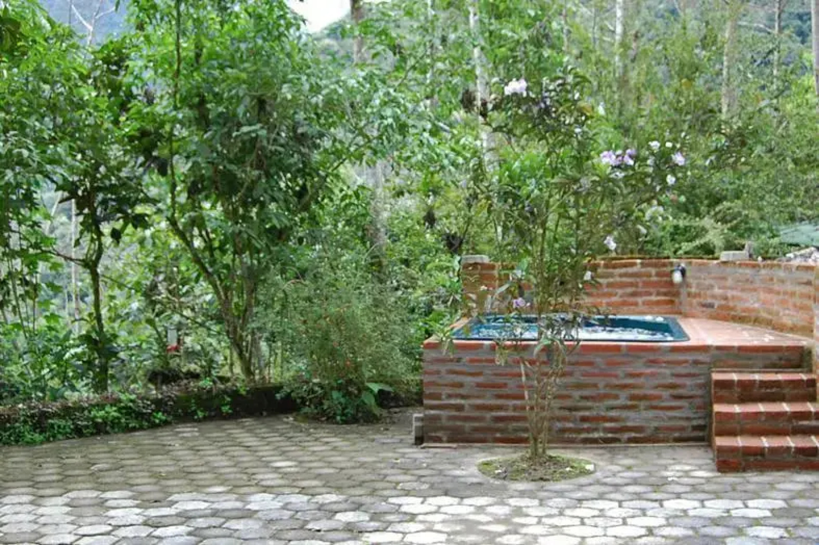 Tandayapa Bird Lodge