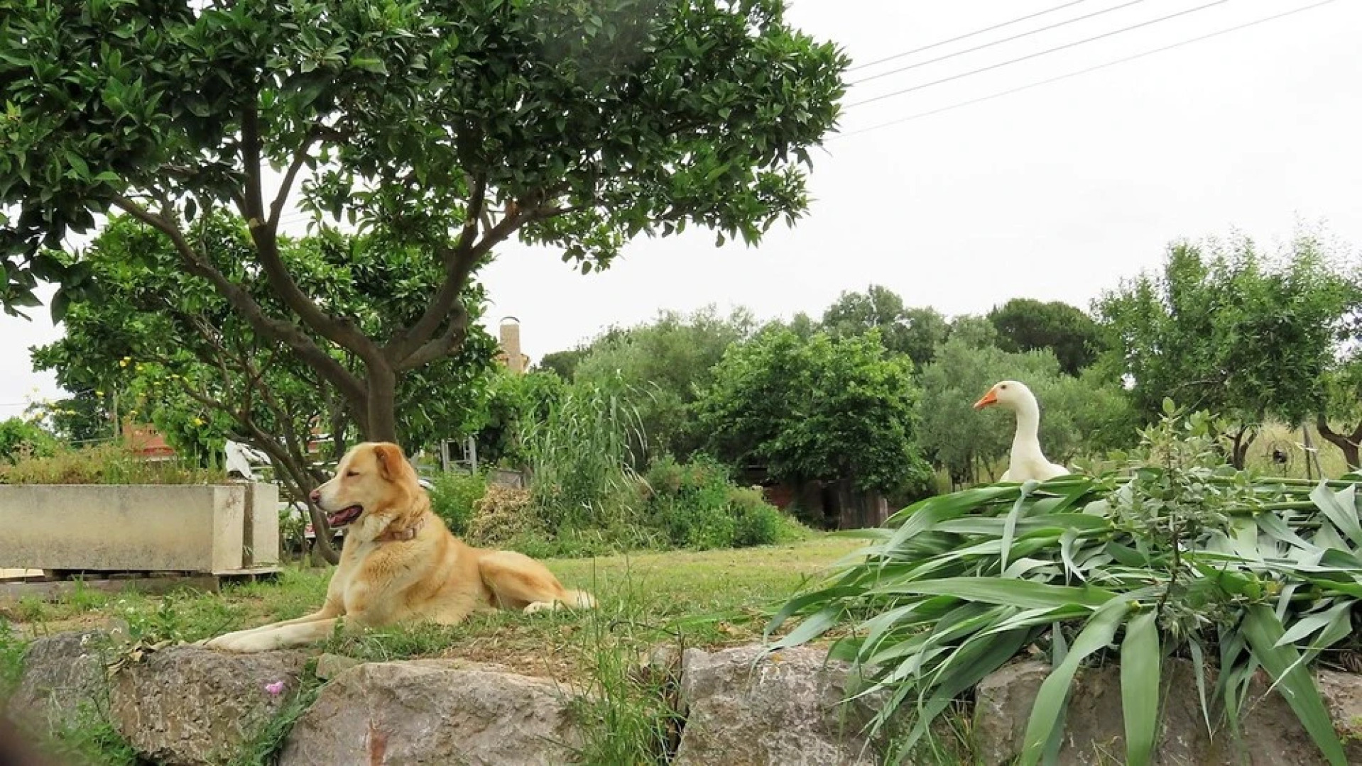 Apartment With 2 Bedrooms in Canet de Mar, With Wonderful Mountain Vie