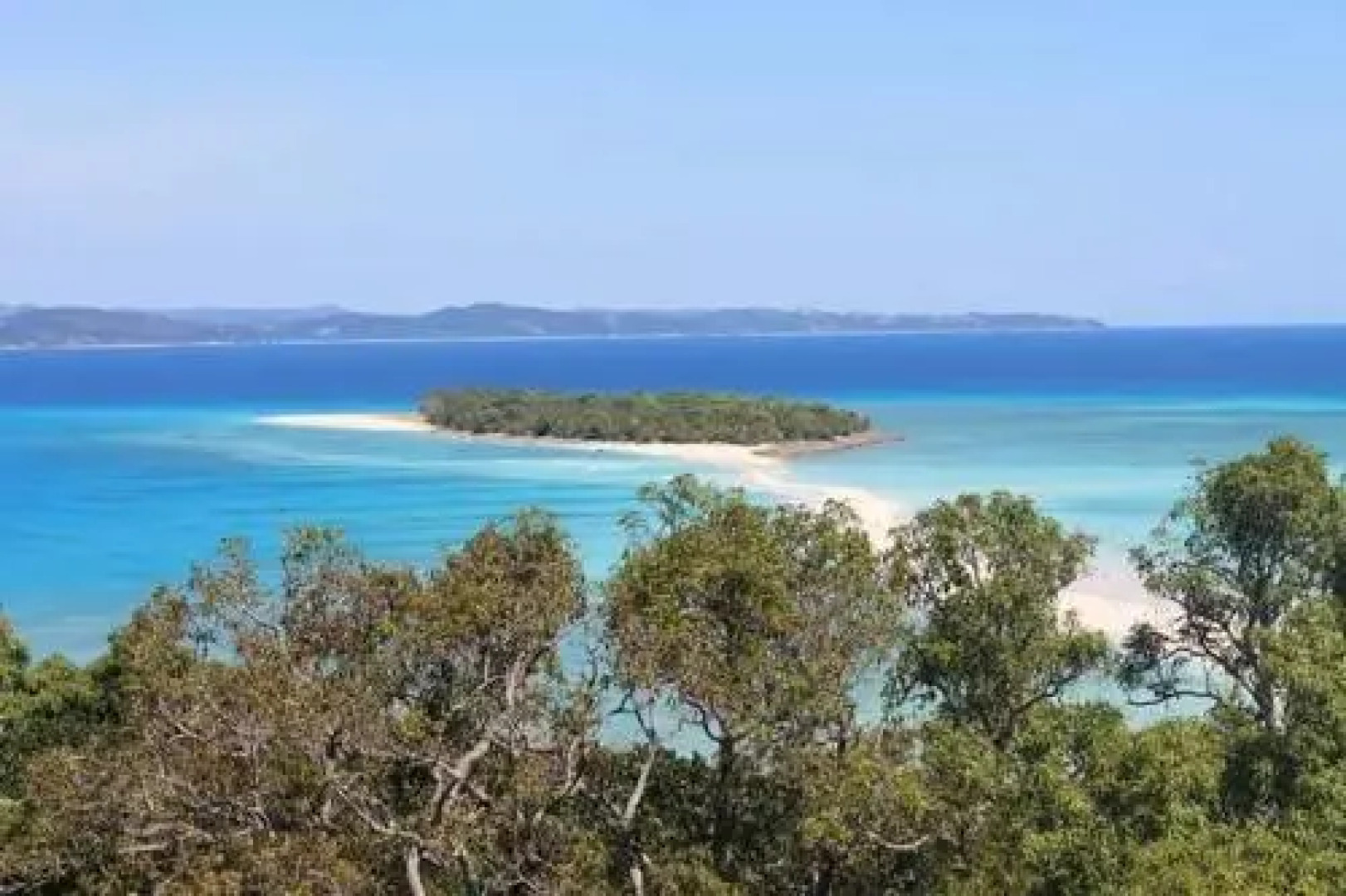 Les Dauphins De Nosy Be