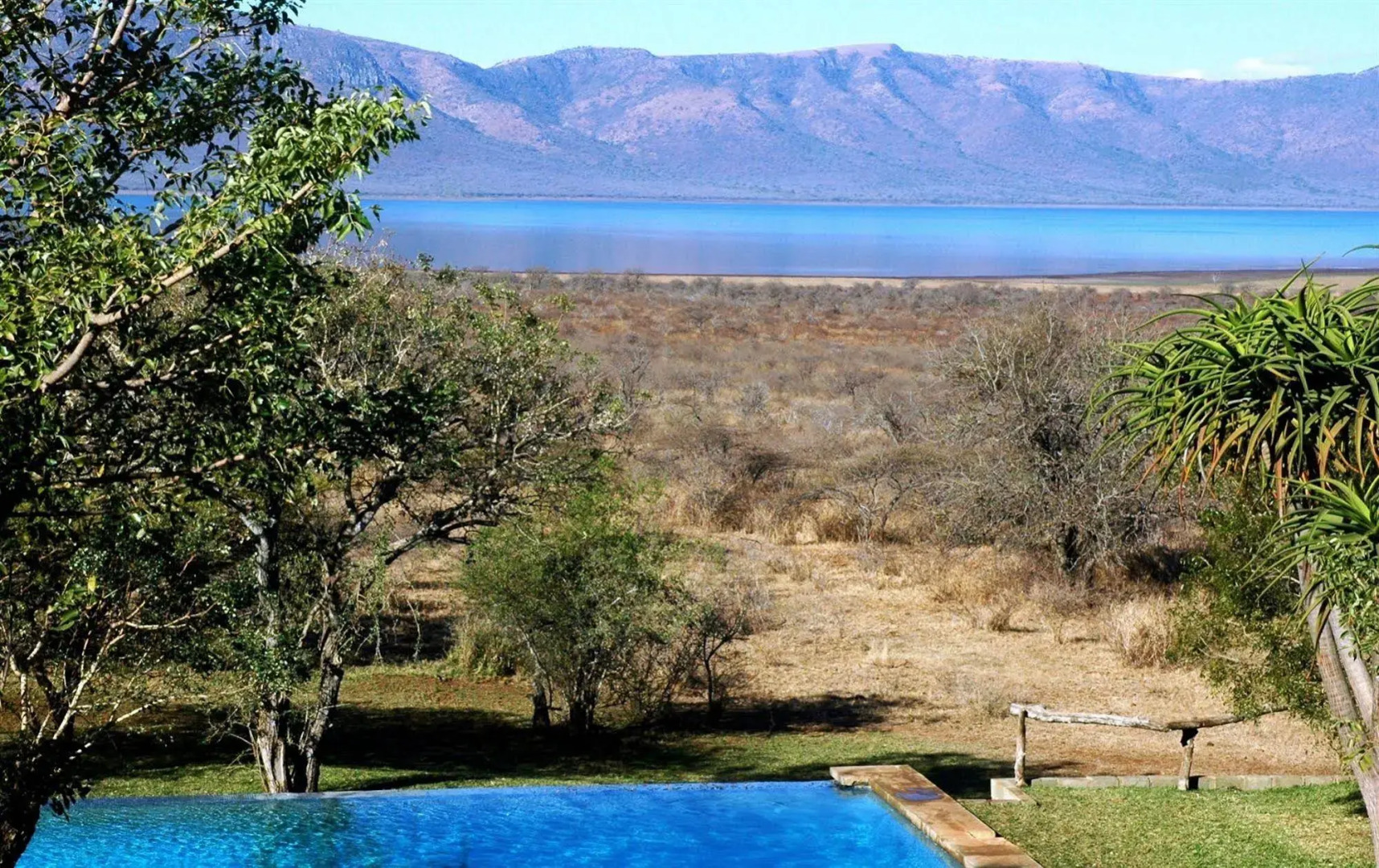 Africamps at White Elephant Safaris