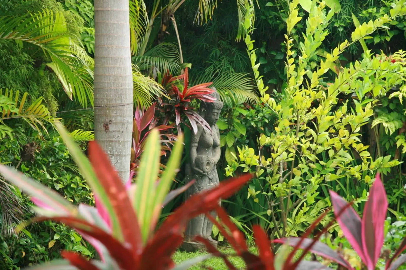 Zen Villa Bali
