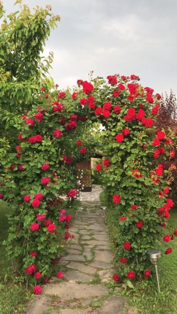 Residence delle Rose