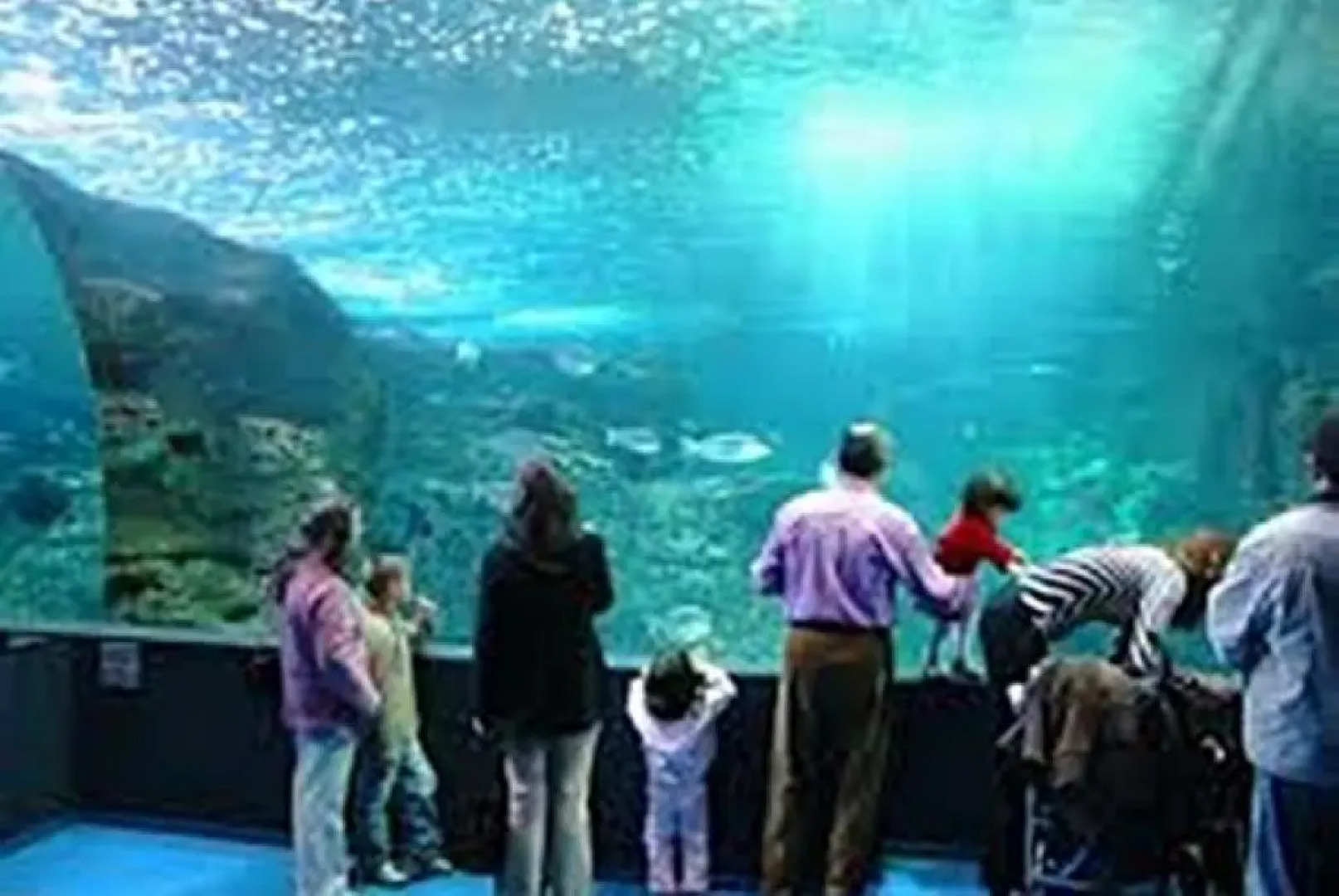 House with private pool, isolated, unique view.