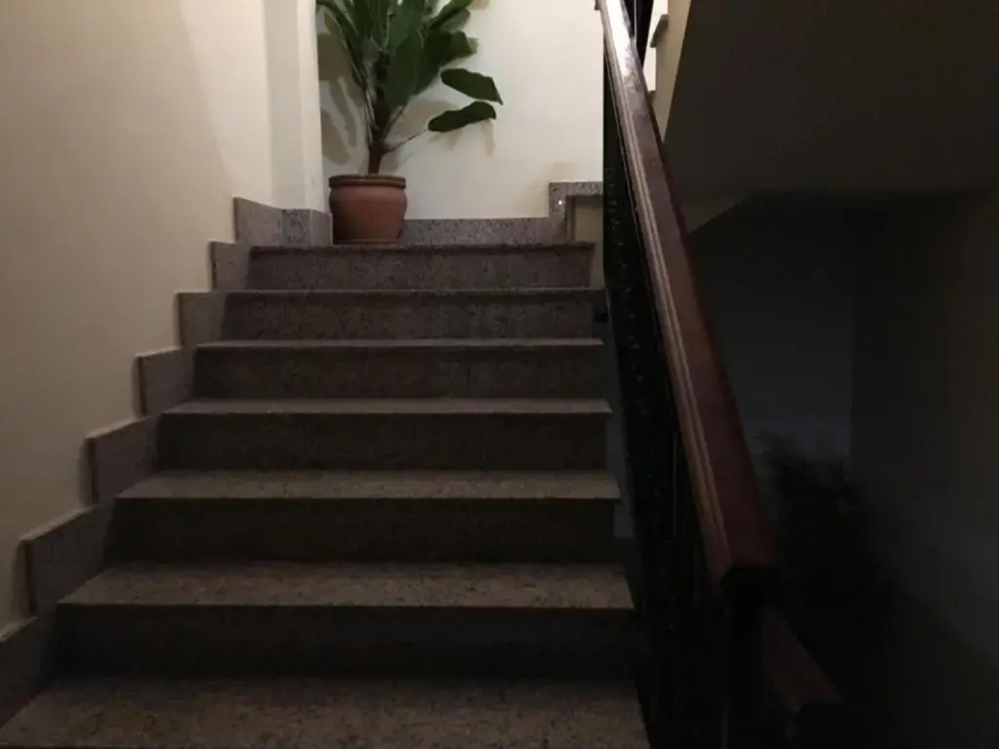 Hostal Mesón Arboleas