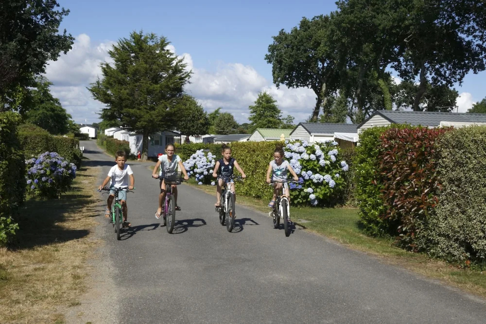Camping Domaine de Pendruc