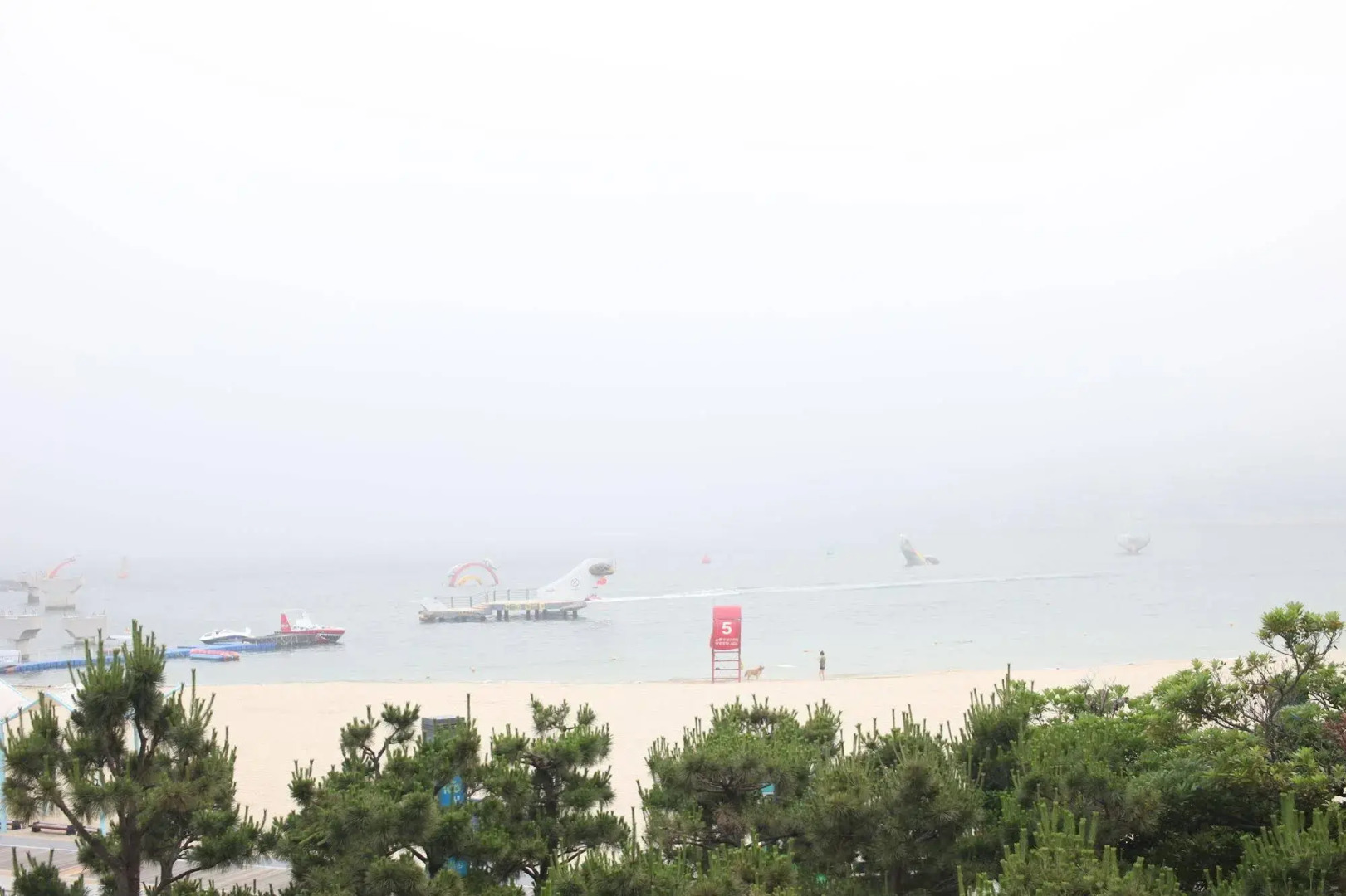 Busan Yellow Hostel Songdo Beach